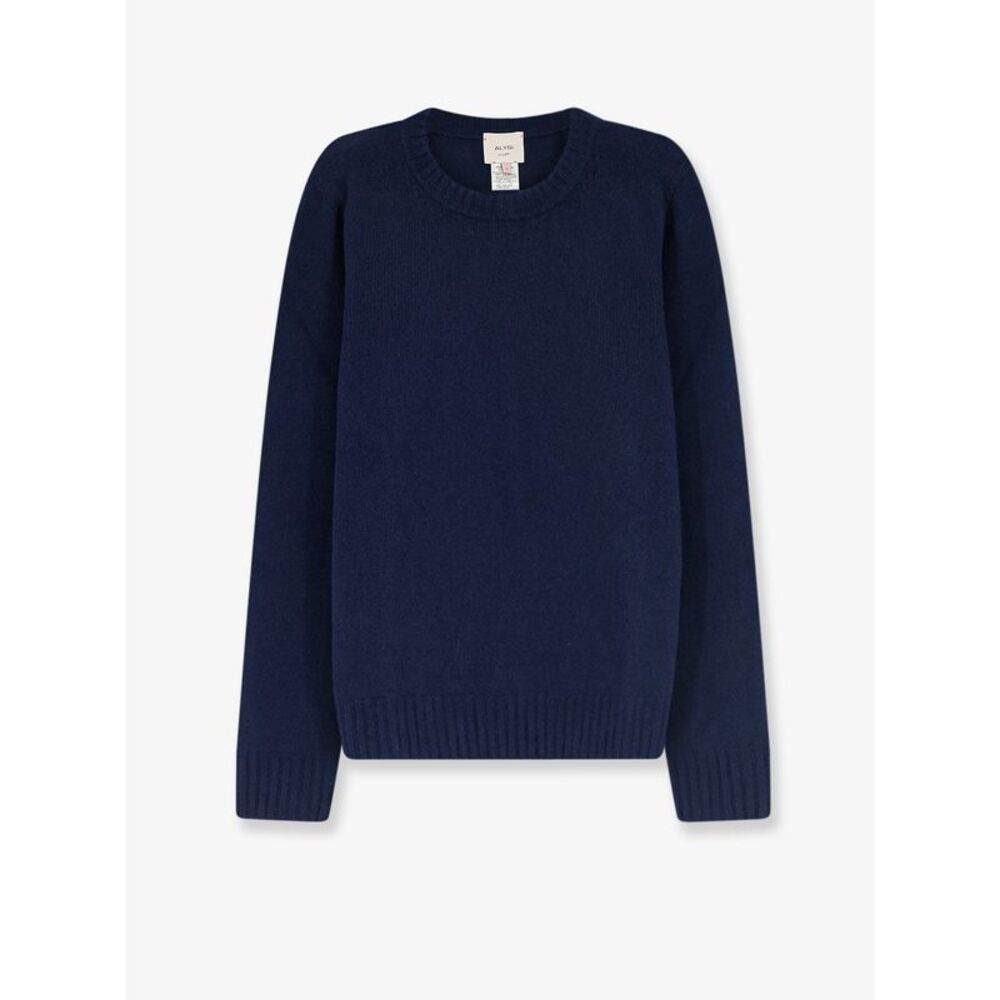Alysi Women Merino Wool And Cashmere Blend Sweater